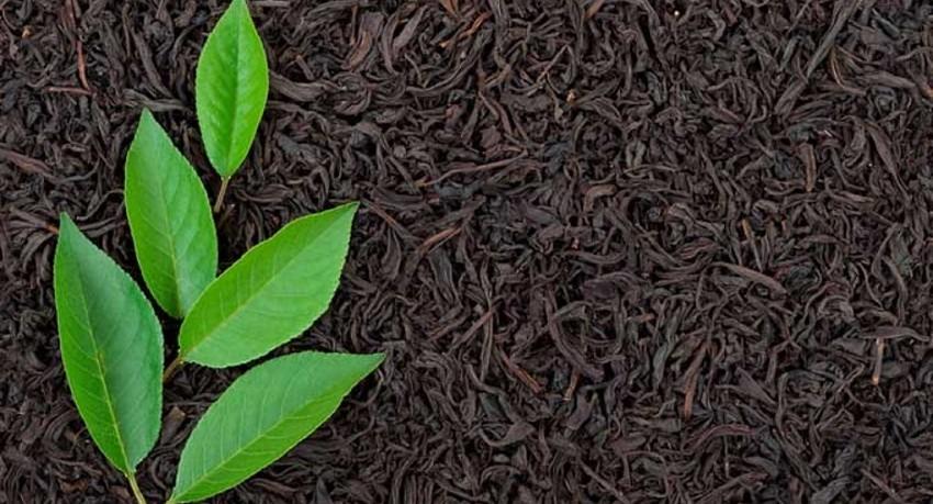 Third tea price hike in 18 months affects tea lovers in Rawalpindi